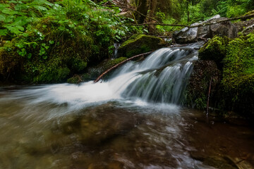 flowing water over a step in the forest