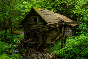old wooden house with a water wheel in the green forest