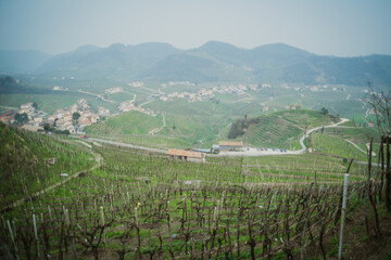 Fototapeta na wymiar Valdobbiadene, Italy, the way of the Prosecco wine. Unesco world heritage