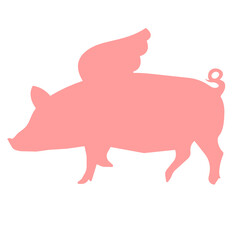 Flying Pig