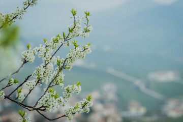 Valdobbiadene, Italy, the way of the Prosecco wine. Unesco world heritage