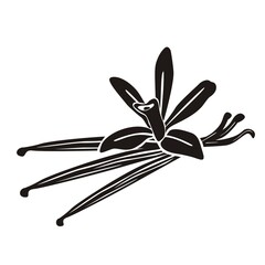 The flower of vanilla