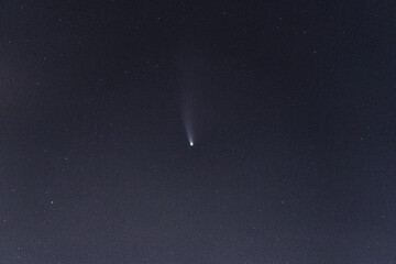 Neowise