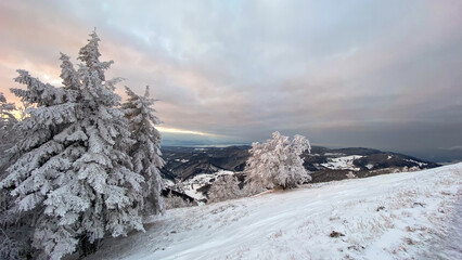 Der schönste Berg im Schwarzwald - Der Belchen