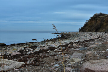 rocks and beach