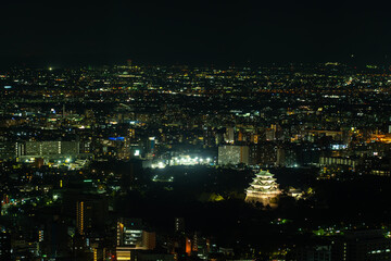 Fototapeta na wymiar 名古屋の夜景　名古屋城