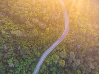 Asphalt road mountain green tree forest nature transport