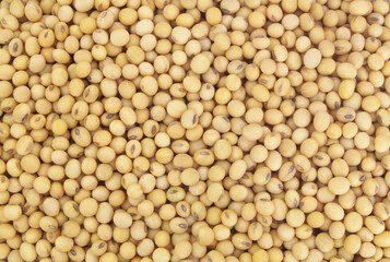 Soy beans background 