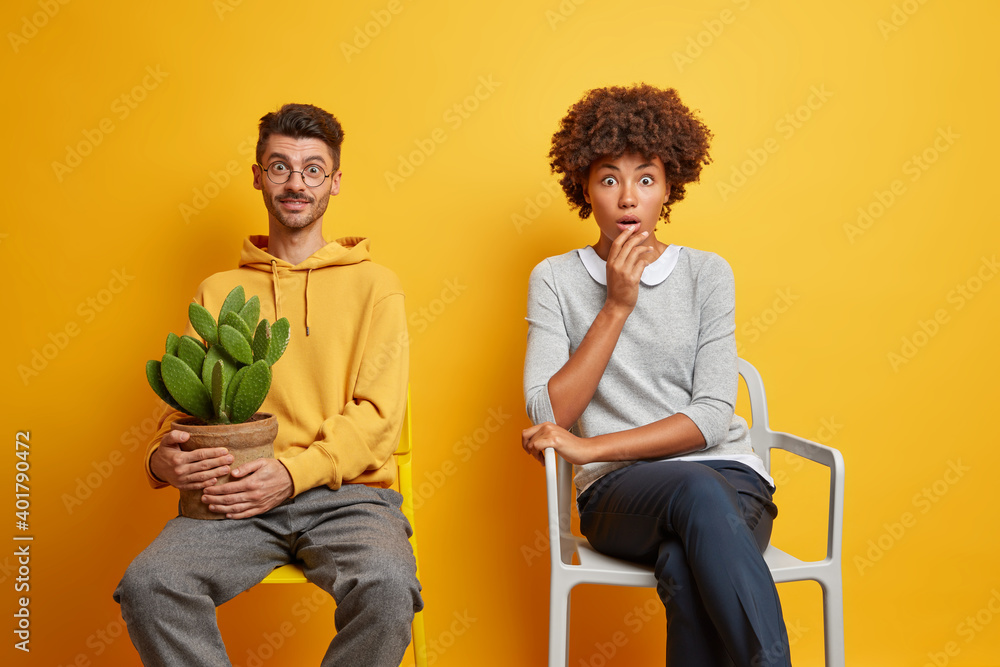 Poster Shocked Afro American woman and glad man with potted cactus pose on chairs against vivid yellow background. Interracial couple being at home poses in studio. People lifestyle emotions concept