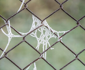 Fototapeta premium Wire fence covered with hoarfrost or rime ice on a misty morning.