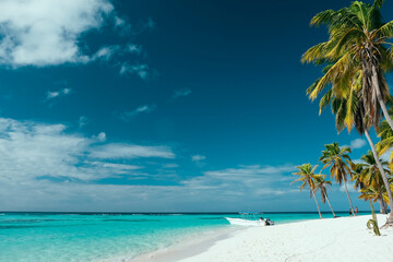Motorboat on a white sand beach with palm trees