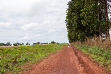 Estrada de terra molhada entre vegetação e céu nublado.