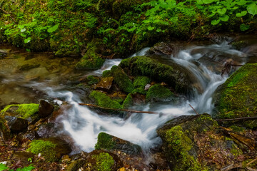 beautiful flowing water between rocks with green moss