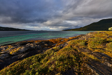 view of the coast of the sea of norway Lofoten islands