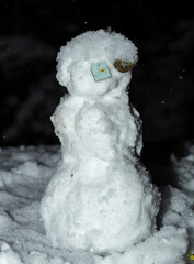 Snowman is an anthropomorphic snow sculpture. Winter entertainment.
