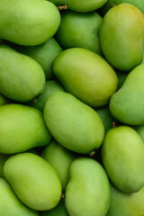 closeup view of pile of mangoes