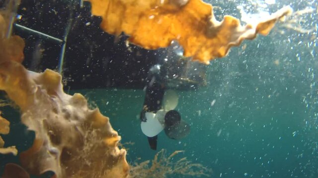 boat propeller underwater. Preparing for work, launch. starts spinning. back view