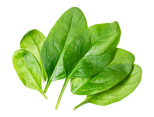 few fresh leaves of Spinach leafy vegetable cut out on white background - obrazy, fototapety, plakaty