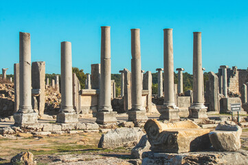 Fototapeta premium ruins of ancient roman forum