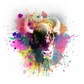 bull illustration with colorful splashes