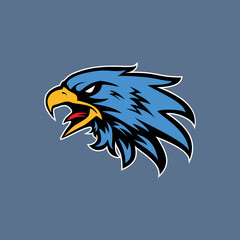 Hand drawn of Eagle head , Eagle mascot for t-shirt , Sport wear ,logo, emblem graphic, athletic apparel stamp