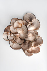 Oyster mushrooms on a white background. Mushroom texture. Copy space