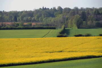 Ville de Fécamp, département de seine-maritime, France