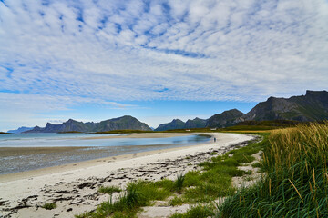 view of the coast of the sea on the lofoten islands