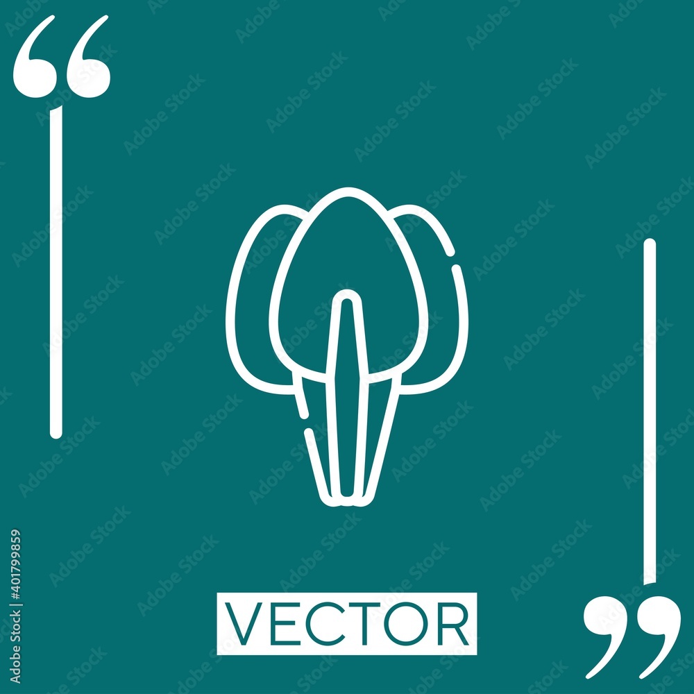 Poster spinach vector icon linear icon. editable stroke line