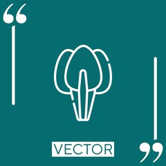 spinach vector icon Linear icon. Editable stroke line