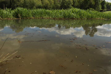 Ground level close up of mud and water sloshing down a stream