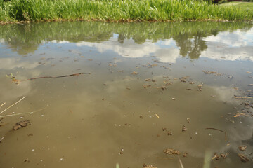 Ground level close up of mud and water sloshing down a stream