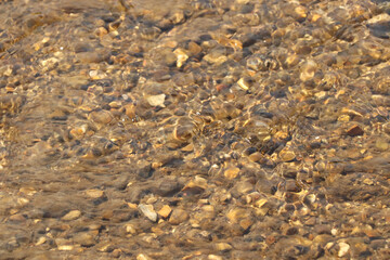Ground level close up of mud and water sloshing down a stream