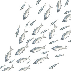 School of fishes or group of horse mackerel 