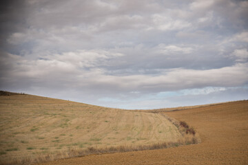 Camino de Santiago, Ledigos, Palencia