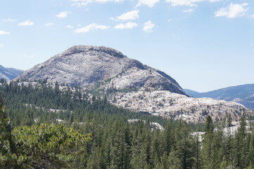 Yosemite Park, forest, USA