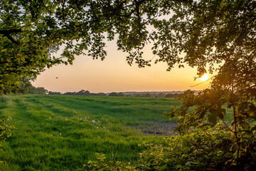 Fototapeta na wymiar Sunset over the fields through the fields