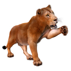 3D Rendering Female Lion on White