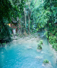 river in the forest