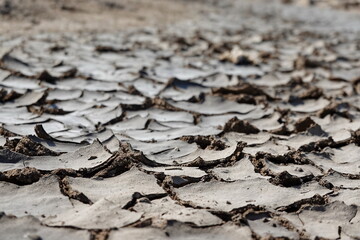 Dry soil and cracked earth 