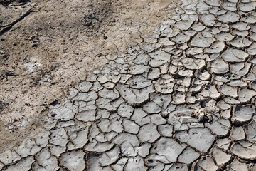 Dry soil and cracked earth 