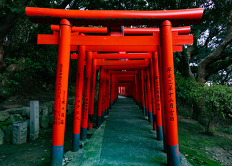 a series of red Shinto shrines 