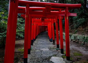 Fototapeta na wymiar a series of red Shinto shrines 
