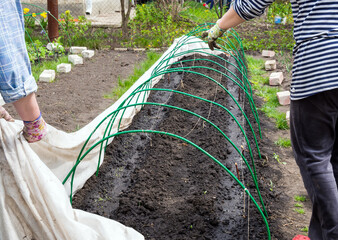 Russia, Voronezh - May 01, 2020: Mini greenhouse equipment in the garden
