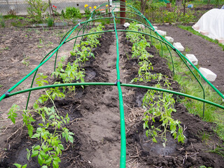 Greenhouse frame with crossbars from garden arches