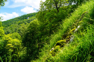 A small stream floats downwards on a grass hill . Fresh green grass grows on the hill. Forest is in the background.