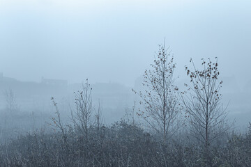 Hazy Rural Landscape in United Kingdom