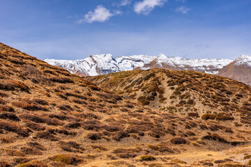 Cold desert barren landscape of Spiti mountain valley with sparse grass vegetation of bunchgrass,...
