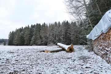 Winterlandschaft...