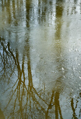 538-68 Spring Creek Ice and Reflections